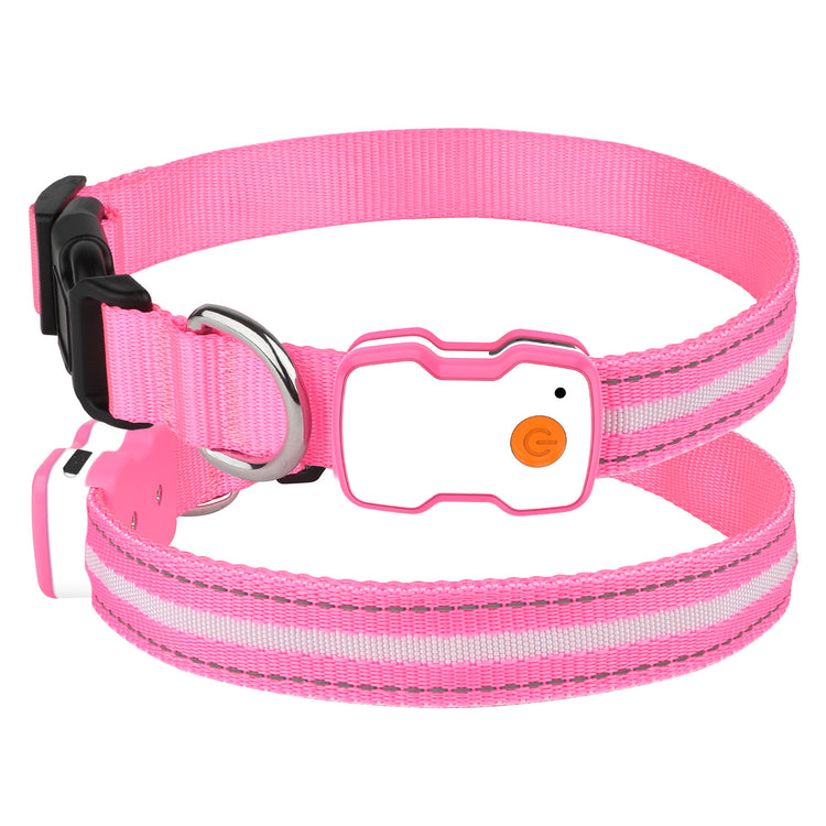 LED Dog Collar| USB Rechargeable, Waterproof Pet Collar with 3 Light Modes, Reflective Strips, Adjustable Sizes (S/M/L) Safety Night Walking Collar