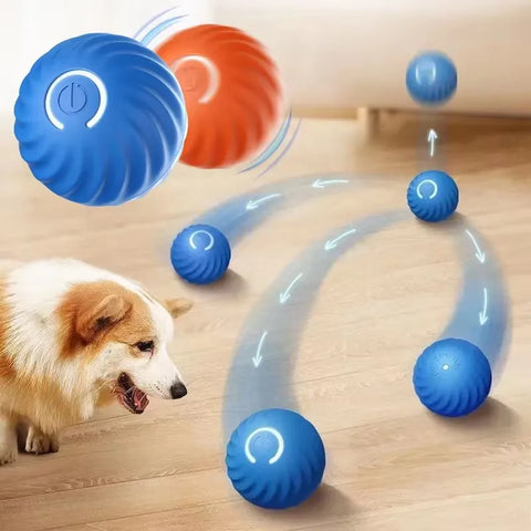 Cat Interactive Ball | Electric Self-Moving Toy | Rolling Magic Ball | Training Toy for Kitten/Small Dog | Automatic Pet Play Ball