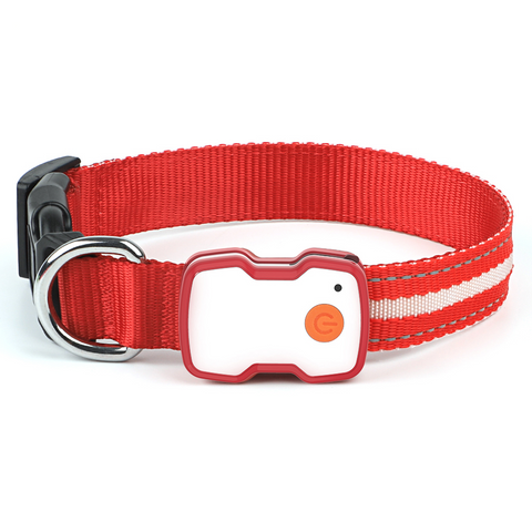 LED Dog Collar| USB Rechargeable, Waterproof Pet Collar with 3 Light Modes, Reflective Strips, Adjustable Sizes (S/M/L) Safety Night Walking Collar