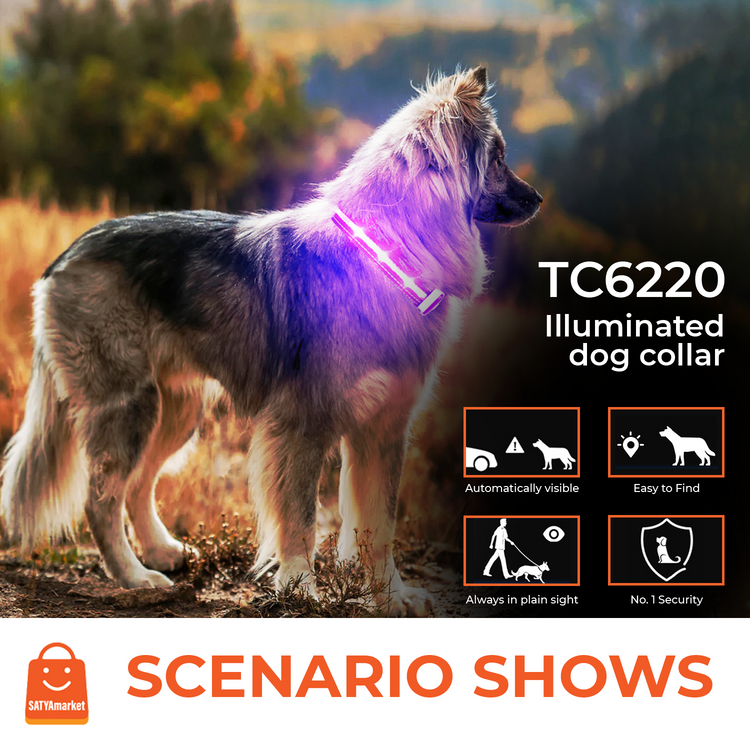 LED Dog Collar| USB Rechargeable, Waterproof Pet Collar with 3 Light Modes, Reflective Strips, Adjustable Sizes (S/M/L) Safety Night Walking Collar