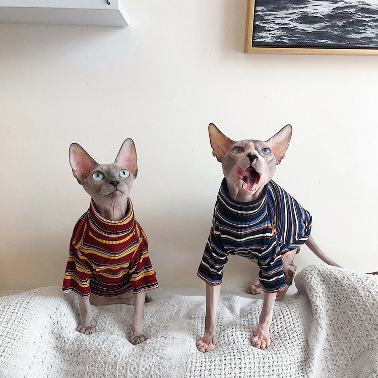 Striped Knitted Cat Clothes for Sphynx | Warm Vest for Hairless Cats | Autumn/Winter Outfit (XS–XL)