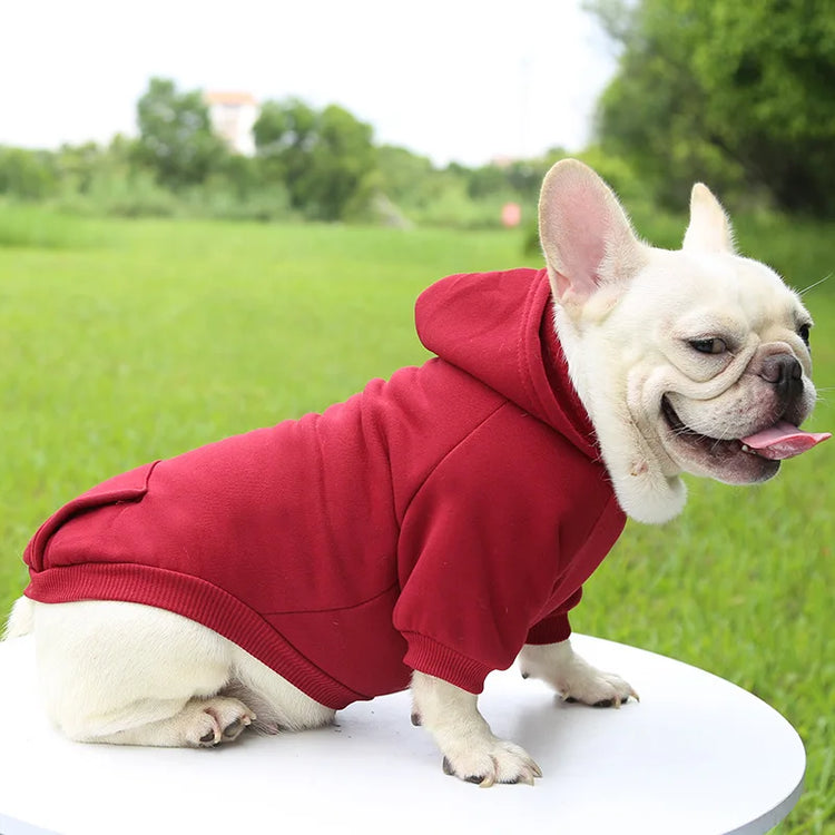 Warm Cotton Hoodie for Cats & Small Dogs | Cozy Pet Coat | Autumn/Winter with Cute Design