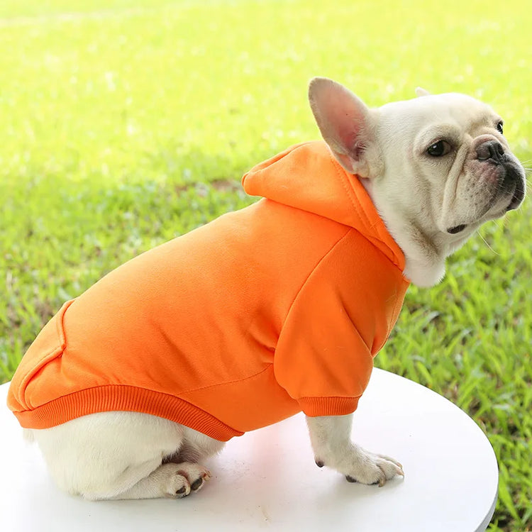 Warm Cotton Hoodie for Cats & Small Dogs | Cozy Pet Coat | Autumn/Winter with Cute Design