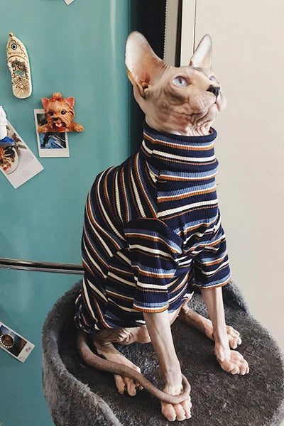Striped Knitted Cat Clothes for Sphynx | Warm Vest for Hairless Cats | Autumn/Winter Outfit (XS–XL)