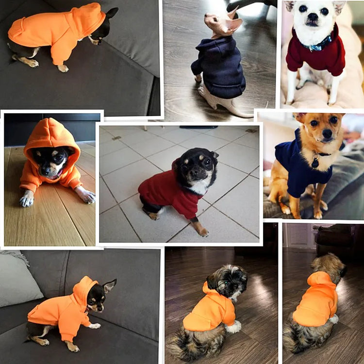 Pet Dog Clothes For Small Dogs | Warm Clothing for Dogs | Coat Puppy Outfit | Pet Clothes for Large Dog | Hoodies Chihuahua 45