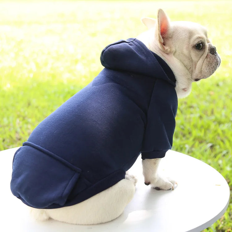 Warm Cotton Hoodie for Cats & Small Dogs | Cozy Pet Coat | Autumn/Winter with Cute Design