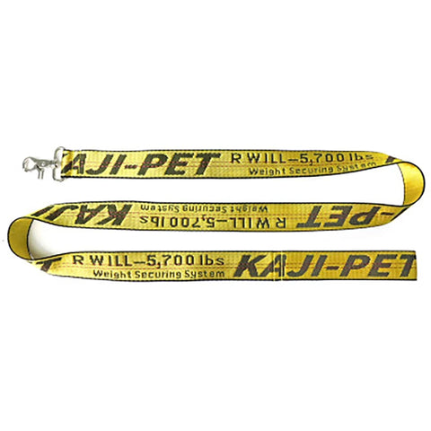 Durable Nylon Dog Collar & Leash Set – Fashion Gold Chain Lettered Design