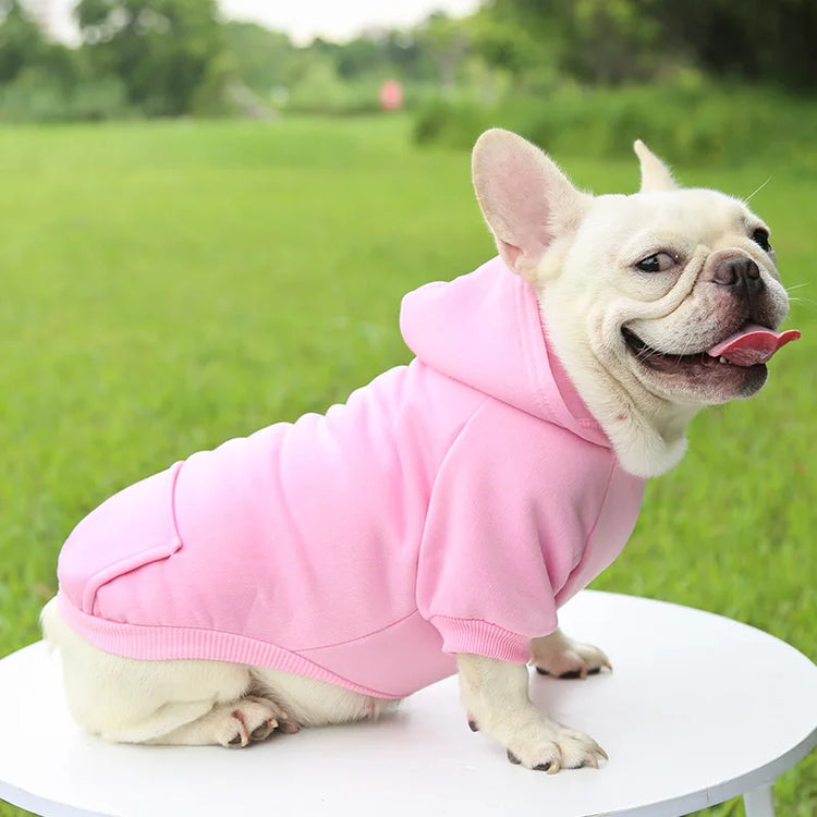 Warm Cotton Hoodie for Cats & Small Dogs | Cozy Pet Coat | Autumn/Winter with Cute Design
