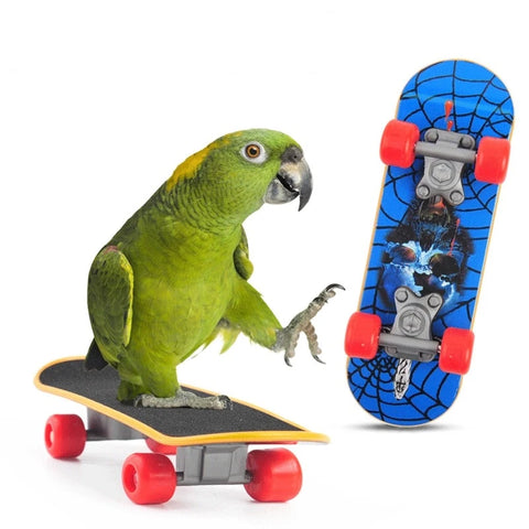 1 PC Parrot Training Skateboard | Bird Skates Perch Toy for Lovebirds, Canaries, Calopsita, Birds Accessories