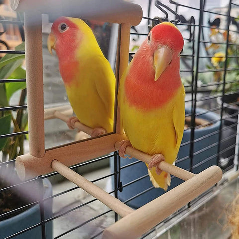 Bird Mirror with Perch | Parrot Toy Stand for Cage | Bird Toy for Parakeets, Cockatiels