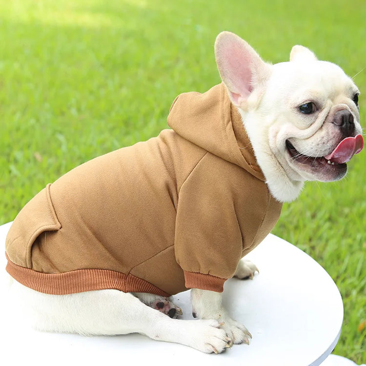 Warm Cotton Hoodie for Cats & Small Dogs | Cozy Pet Coat | Autumn/Winter with Cute Design