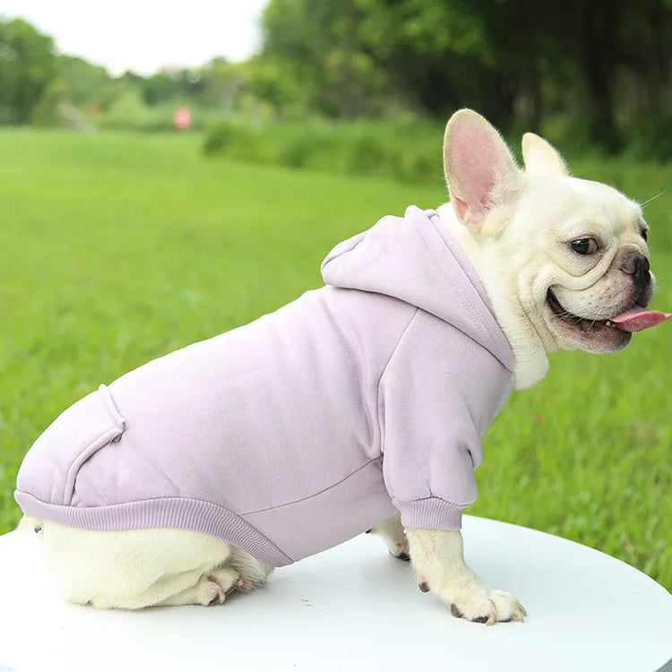 Warm Cotton Hoodie for Cats & Small Dogs | Cozy Pet Coat | Autumn/Winter with Cute Design