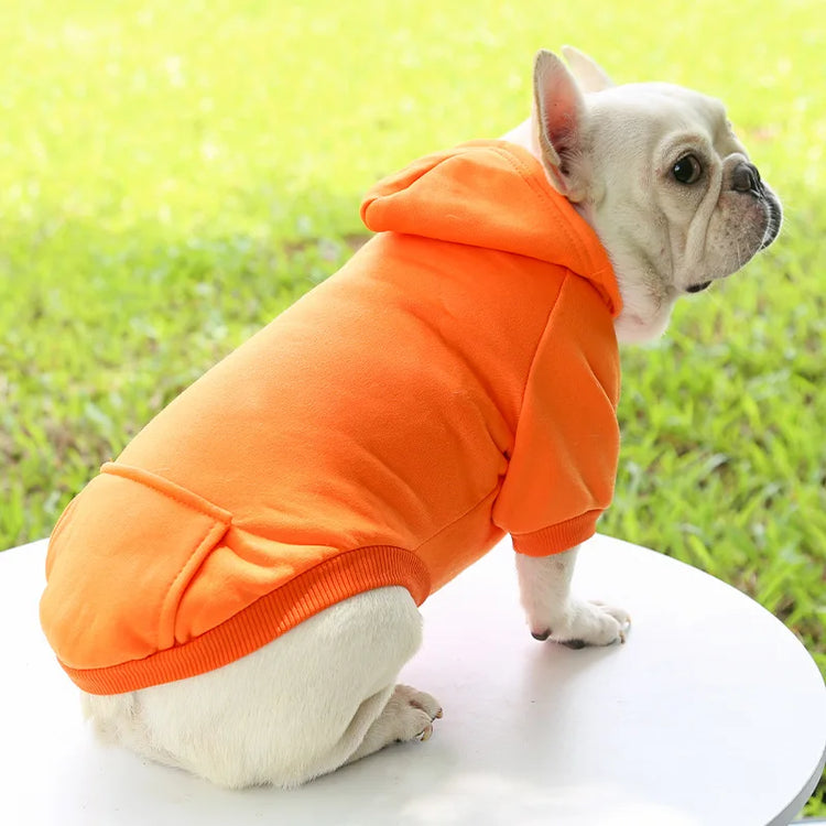 Warm Cotton Hoodie for Cats & Small Dogs | Cozy Pet Coat | Autumn/Winter with Cute Design