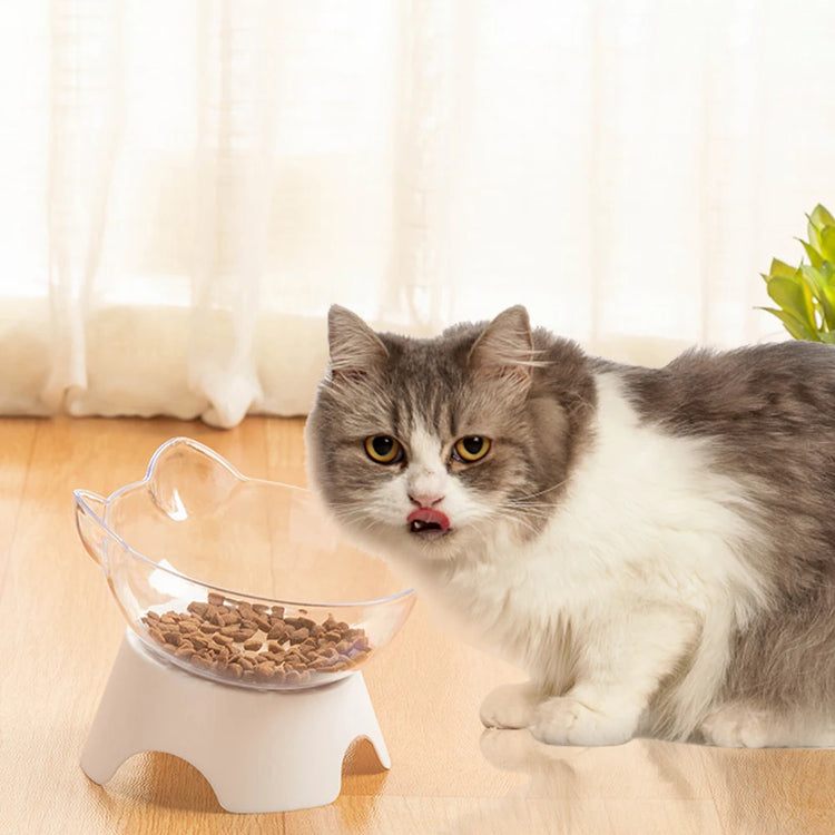 For Cats & Dogs Feeders | Non-Slip Pet Food and Water Bowls | Cat Bowl | Feeding Products | Pet Supplies with Stand Base | Transparent Design