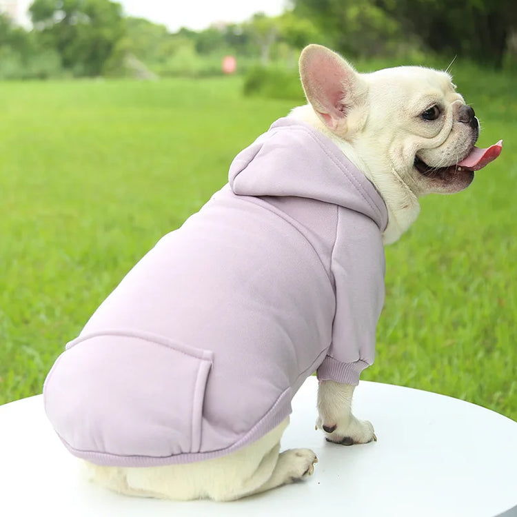 Warm Cotton Hoodie for Cats & Small Dogs | Cozy Pet Coat | Autumn/Winter with Cute Design