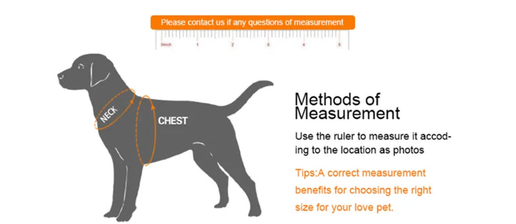 Leather Dog Collar with Quick Release – Durable Pet Collar for Small to Large Dogs