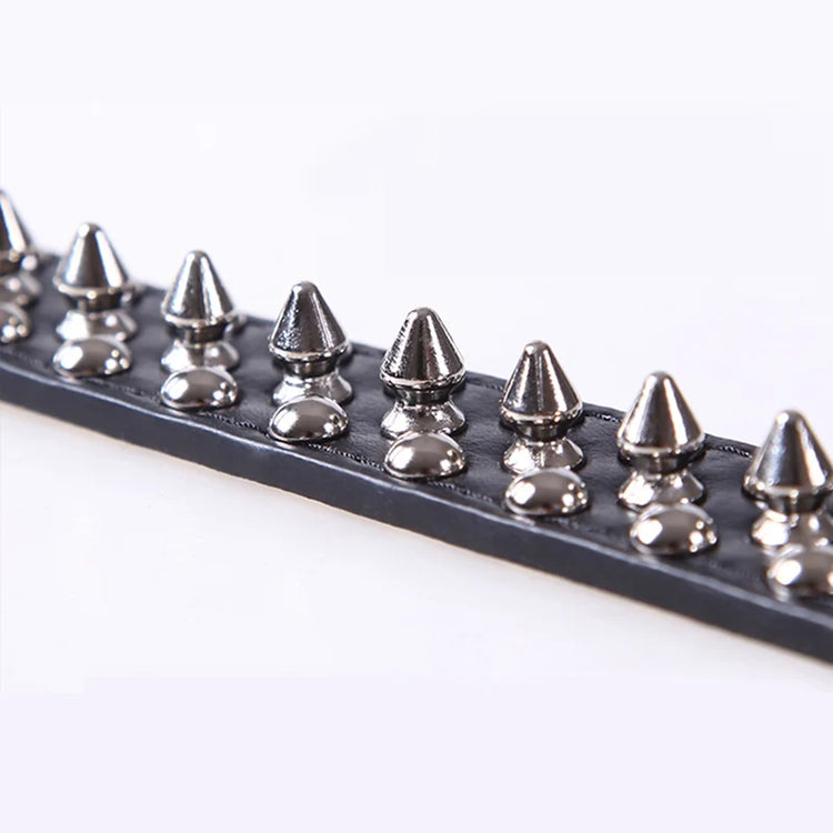 Anti-Bite Spiked Leather Dog Collar – Padded Studded Collar for Small, Medium & Large Breeds