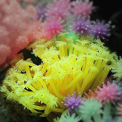 Artificial Sea Anemone Aquarium Decoration – Fluorescent Silicone Coral Ornament for Fish Tanks