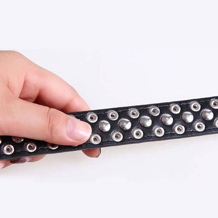 Anti-Bite Spiked Leather Dog Collar – Padded Studded Collar for Small, Medium & Large Breeds