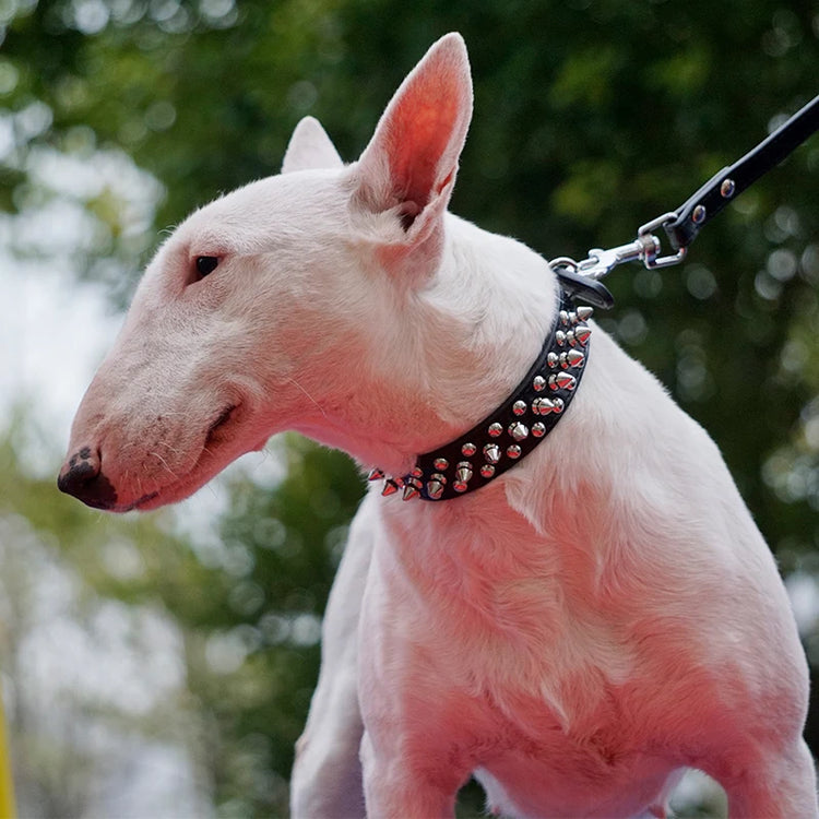 Anti-Bite Spiked Leather Dog Collar – Padded Studded Collar for Small, Medium & Large Breeds