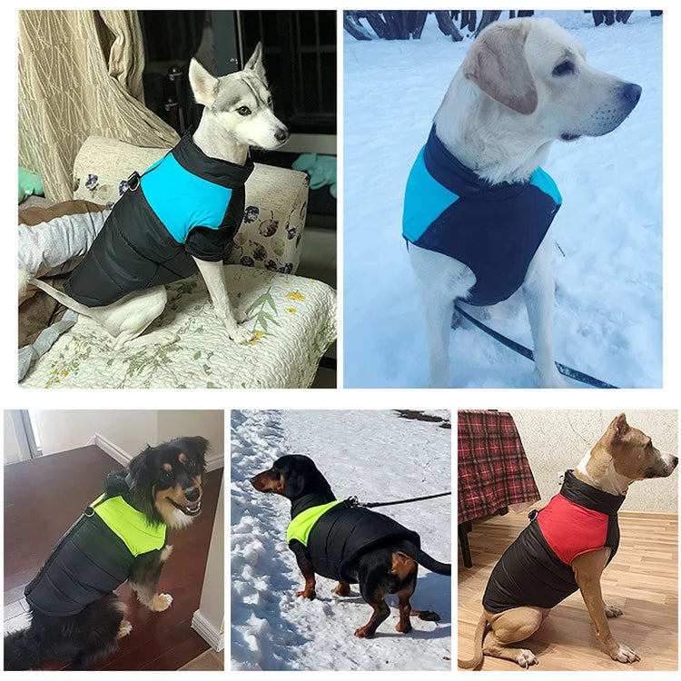 Warm Big Dog Coat(S/M/L) | Waterproof Pet Vest Jacket for Golden Retriever