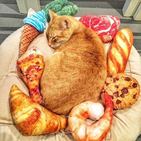 Squeaky Pet Cat Toys | Catnip Plush Cat Toy | Plush Kitty Toy | Katten Speelgoed | Gatos Juguetes | Catnip Toys for Cats and Kittens | Pet Supplies