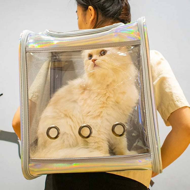 Pet Cat Carrier Backpack | Transparent Laser Shoulder Bag for Small Dogs/Cats (7KG Capacity)