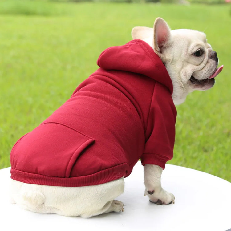Warm Cotton Hoodie for Cats & Small Dogs | Cozy Pet Coat | Autumn/Winter with Cute Design