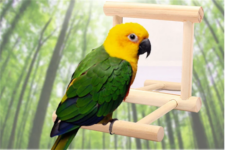 Bird Mirror with Perch | Parrot Toy Stand for Cage | Bird Toy for Parakeets, Cockatiels