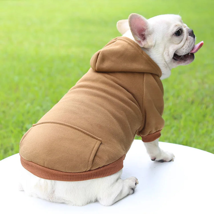 Warm Cotton Hoodie for Cats & Small Dogs | Cozy Pet Coat | Autumn/Winter with Cute Design