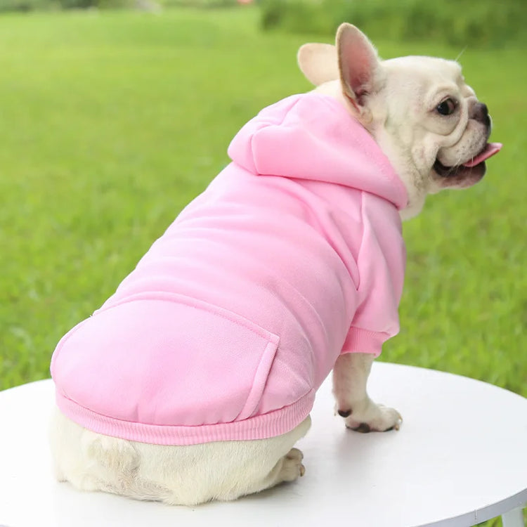 Warm Cotton Hoodie for Cats & Small Dogs | Cozy Pet Coat | Autumn/Winter with Cute Design