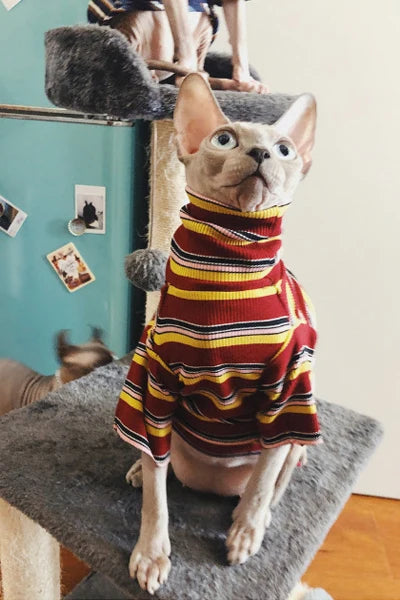 Striped Knitted Cat Clothes for Sphynx | Warm Vest for Hairless Cats | Autumn/Winter Outfit (XS–XL)
