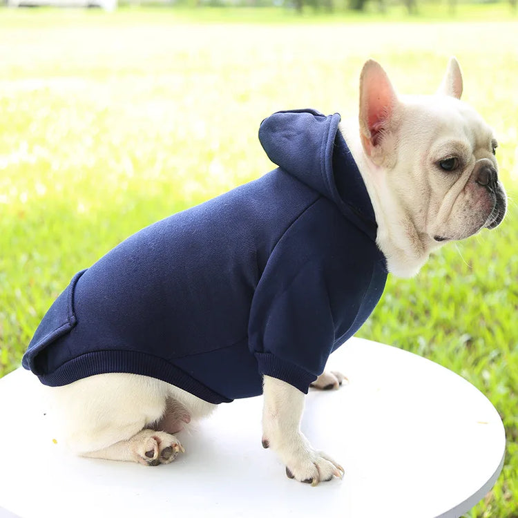 Warm Cotton Hoodie for Cats & Small Dogs | Cozy Pet Coat | Autumn/Winter with Cute Design