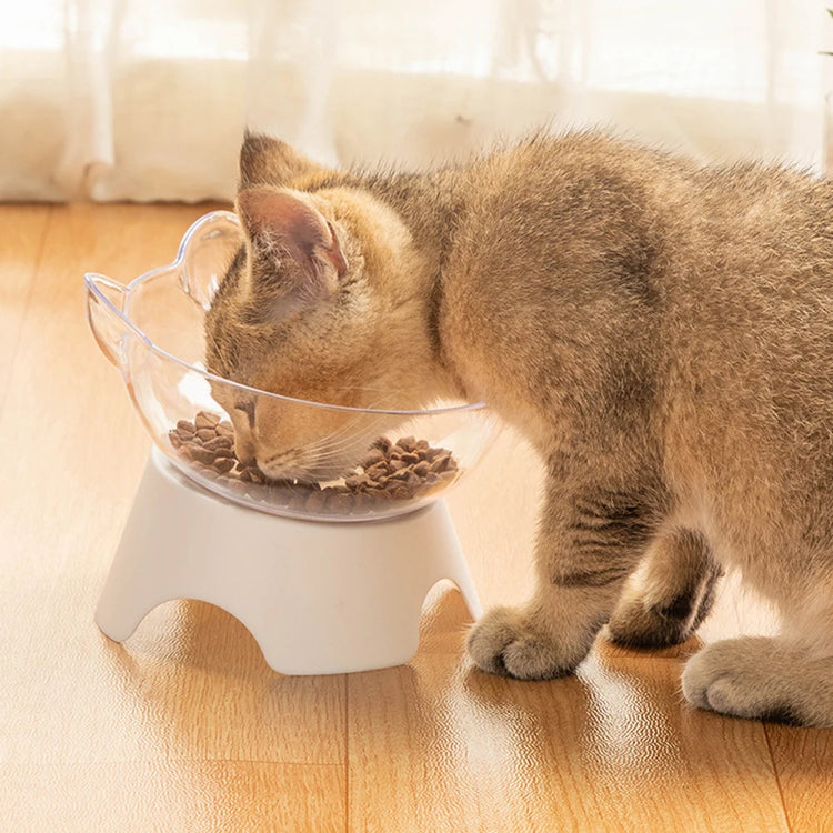 For Cats & Dogs Feeders | Non-Slip Pet Food and Water Bowls | Cat Bowl | Feeding Products | Pet Supplies with Stand Base | Transparent Design