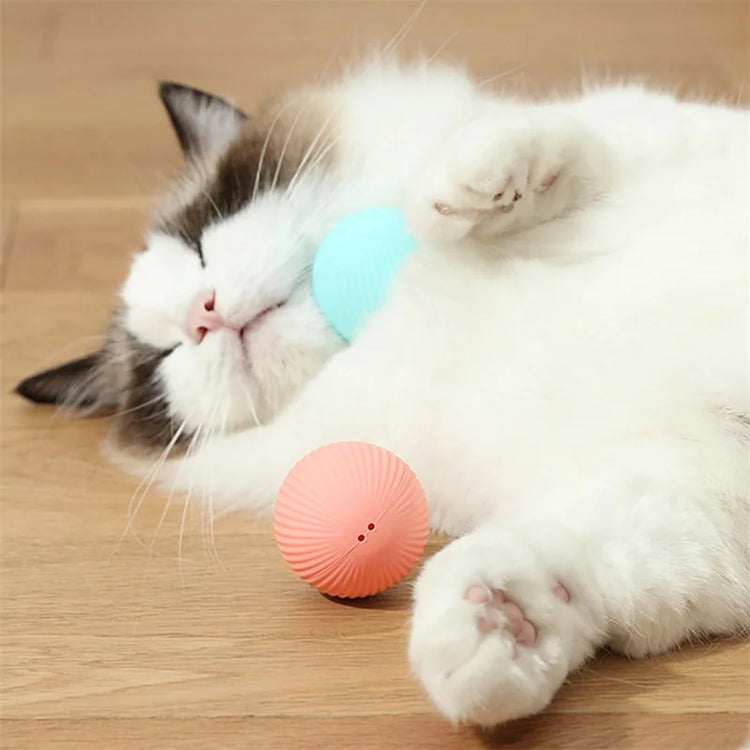 Smart Electronic Dog Toy Ball | USB Automatic Moving & Bouncing Pet Toy | Interactive Puppy Gift | Cat/Dog Products