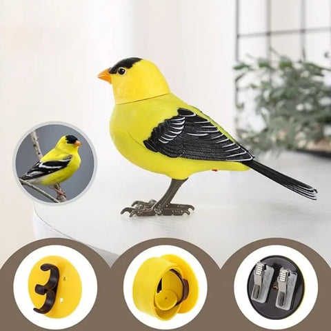 Simulation Bird Toy | Electronic Singing Bird | Interactive Bird for Kids | Motion Sound Control | Cute Decorative ToySimulation Bird Toy | Electronic Singing Bird | Interactive Bird for Kids | Motion Sound Control | Cute Decorative Toy