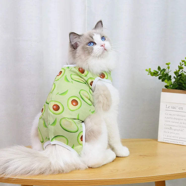 Post-Surgery Sterilization Suit for Female Cats | Anti-Licking Recovery Vest | Weaning Suit