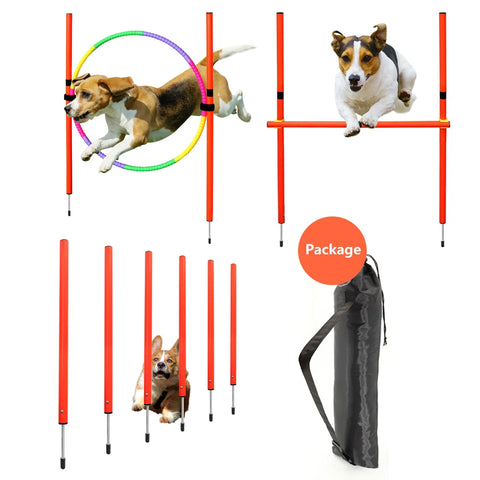 Portable Dog Agility Training Set – Outdoor Jumping & Obstacle Equipment