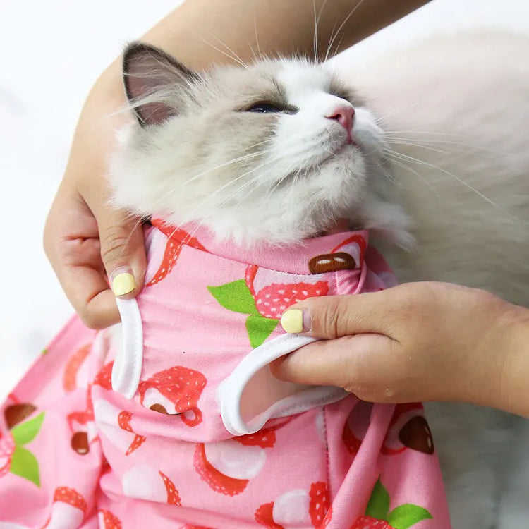 Post-Surgery Sterilization Suit for Female Cats | Anti-Licking Recovery Vest | Weaning Suit