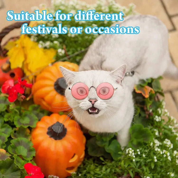 Cat Dog Sunglasses | Funny Pet Glasses - Round Metal Cat Classic Retro Sunglasses with Anti-Slip Belt | Pet Party Costume Photo Props