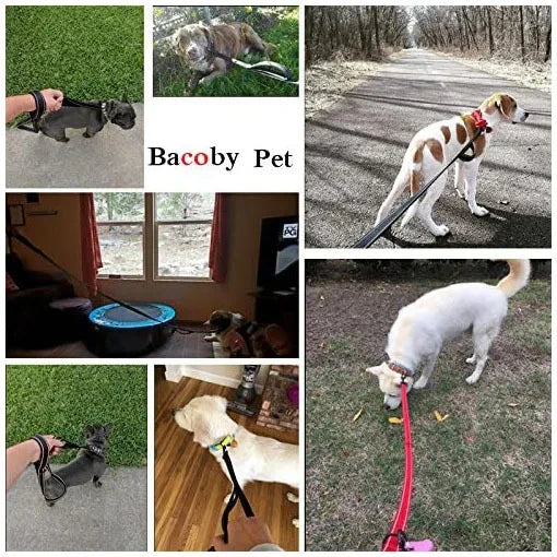 Heavy Duty Double Handle Dog Leash – Outdoor Training & Travel Lead