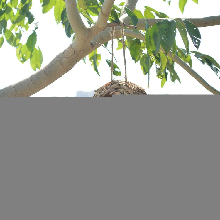 2024 Handwoven Reed Grass Bird Nest – Hanging Hummingbird Egg Cage for Outdoor Decor, Small Parrots & Garden Wildlife (Multiple Sizes)