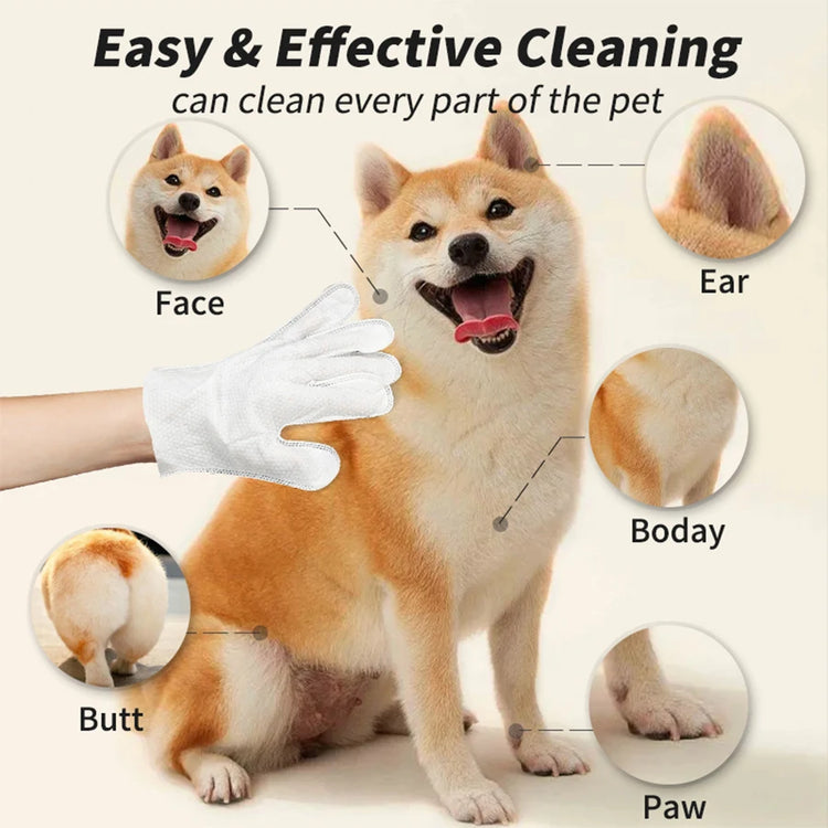 Cleaning Wipes Gloves for Dog/Cat | Deodorizing Bath Wipes | Grooming Glove for Paws, Face, Ears, and Body | Daily Pet Care Supplies