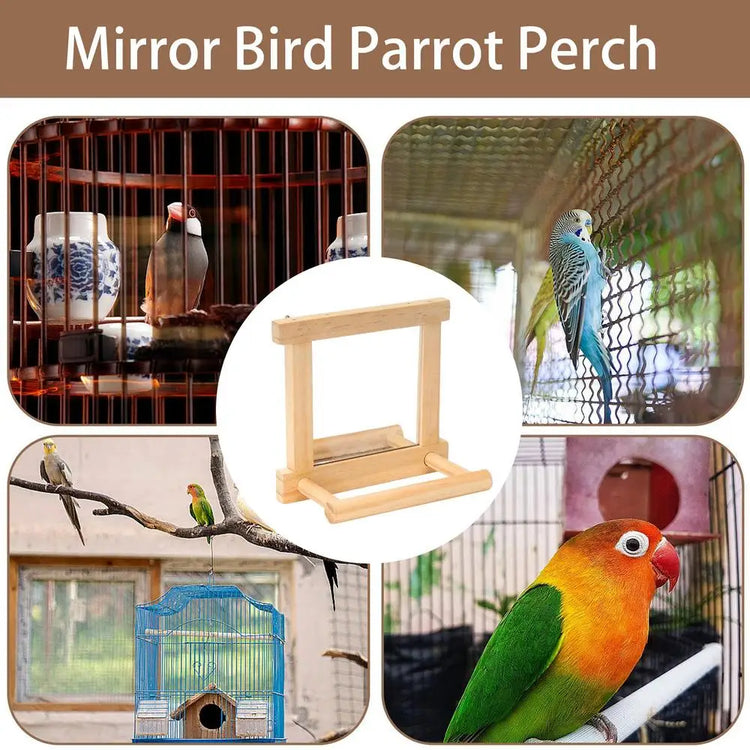 Parrot Perches For Cage | Bird Standing Branch Interactive Parrot Standing Sticks | Wood Parakeet Climbing Branches For Budgies