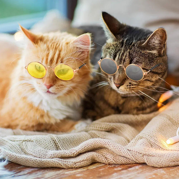 Cat Dog Sunglasses | Funny Pet Glasses - Round Metal Cat Classic Retro Sunglasses with Anti-Slip Belt | Pet Party Costume Photo Props