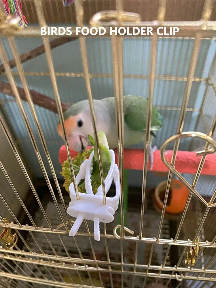 Cute Small Pet Bird Food Holder | Parrot Fruit & Veggie Clip | Cuttlefish Bone Feeder | Cage Clamp Tool | Accessories for Canaries & Cockatiels