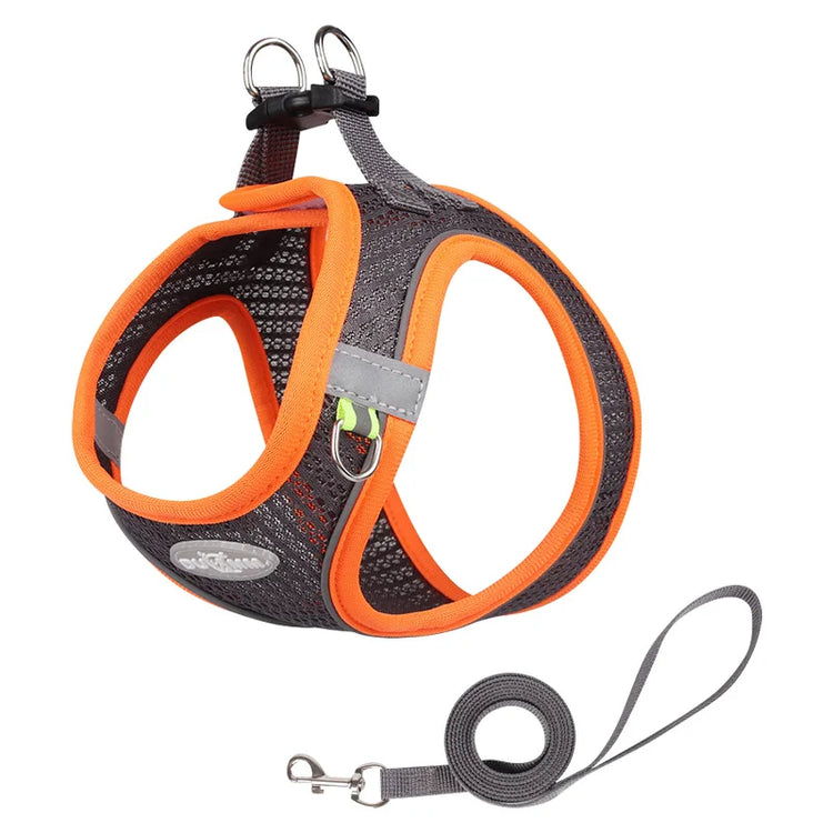 Pawstrip Soft & Reflective Dog Harness with Leash – Comfortable Vest Harness for Small Dogs