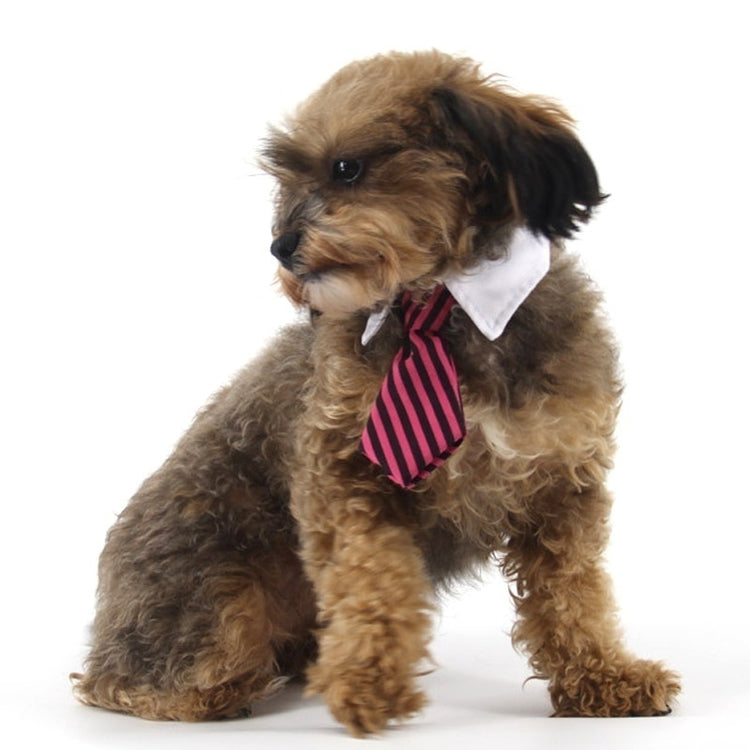 2023 Dog Cat Grooming | Striped Bow Tie - Adjustable Animal Collar | Christmas Pet Necktie | Formal White Collar for Dogs & Cats | Party & Wedding Wear