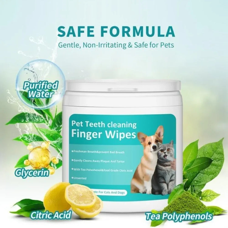 Cat Ear Wipes | Pet Ear & Eye Cleaning Finger Wipes | Remove Wax & Odor | 50 Wipes for Dogs/Cats