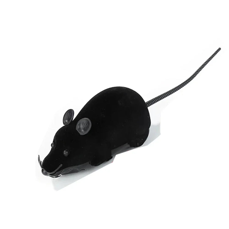 Rat Funny Cat Toy | Remote Control | Wireless Controlled Toy Rat | Interactive Toys | Cat Teaser Toy | Pet Supplies